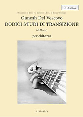 Dodici Studi di Transizione