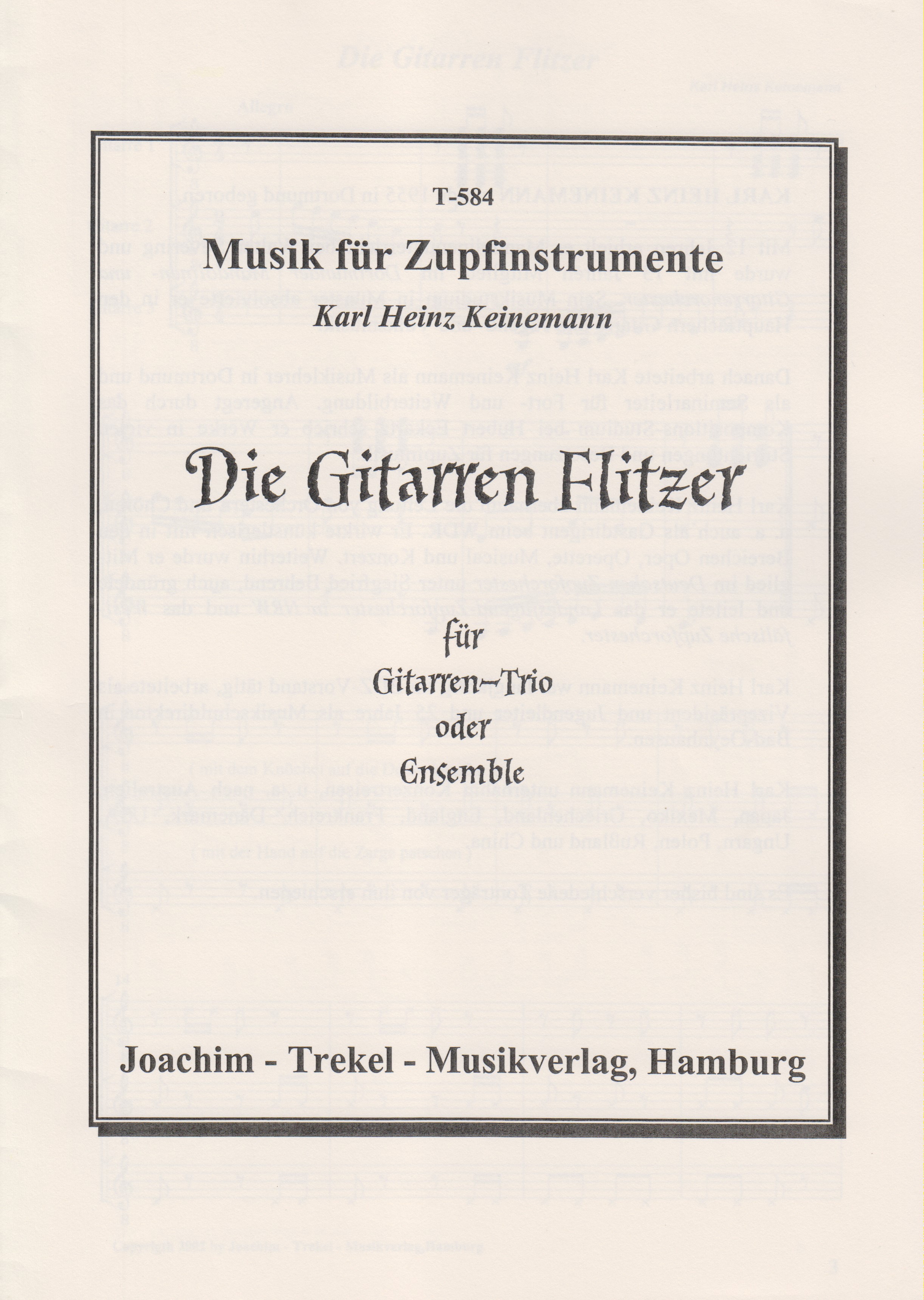 Logo:Die Gitarren-Flitzer